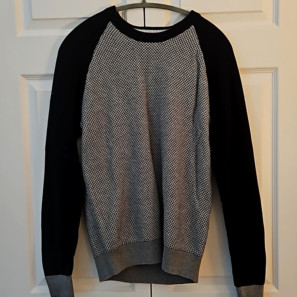 Express mens sweater